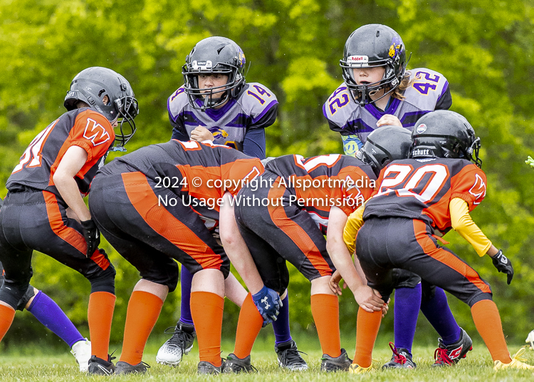 Oceanside Lions Parksville Saanich Wolverines GVMFA BCCPFA VICFA;communty football Spartans Warriors Westshore Goudy SOUTHSIDE DAWGS  HARWOOD cowichan bulldogs nanaimo footbsll isn