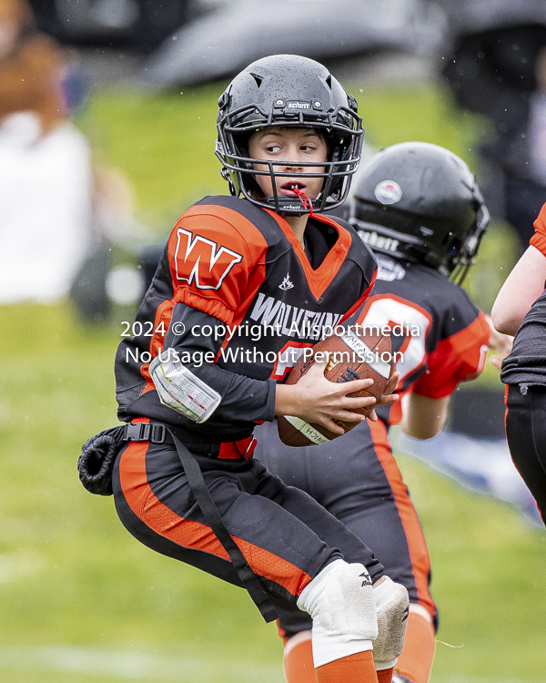 Oceanside Lions Parksville Saanich Wolverines GVMFA BCCPFA VICFA;communty football Spartans Warriors Westshore Goudy SOUTHSIDE DAWGS  HARWOOD cowichan bulldogs nanaimo footbsll isn