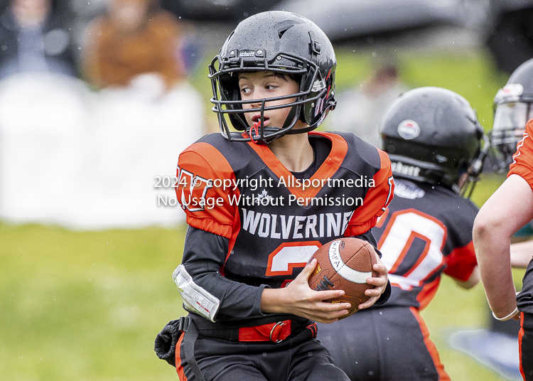 Oceanside Lions Parksville Saanich Wolverines GVMFA BCCPFA VICFA;communty football Spartans Warriors Westshore Goudy SOUTHSIDE DAWGS  HARWOOD cowichan bulldogs nanaimo footbsll isn