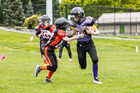 Oceanside-Lions-Parksville-Saanich-Wolverines-GVMFA-BCCPFA-VICFA;communty-football-Spartans-Warriors-Westshore-Goudy-SOUTHSIDE-DAWGS-HARWOOD-cowichan-bulldogs-nanaimo-footbsll-isn
