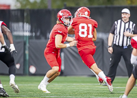 Westshore-Rebels-ISN-Island-Sports-News-BCFC-Allsportmedia-Langford-Football-CJFL