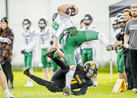 Mt-Doug-Rams-Windsor-High-School-Football