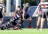 Bc-Rugby-U16-High-school-Age