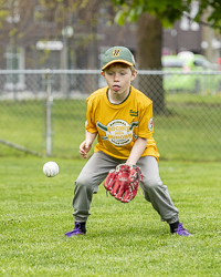 national-little-league-baseball-rookie-isn-doug-hudlin-erich-eichhorn