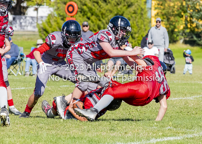 Westshore warriors Harwood Dawgs  VICFA