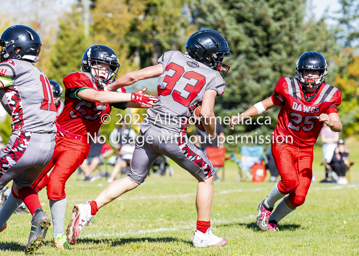 Westshore warriors Harwood Dawgs  VICFA