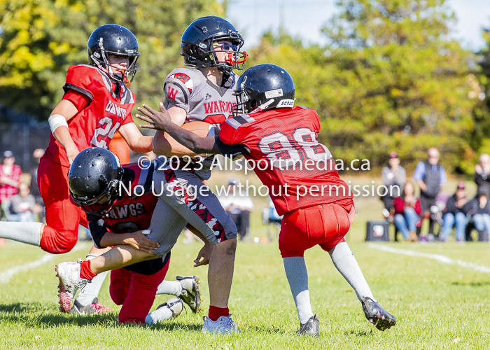 Westshore warriors Harwood Dawgs  VICFA