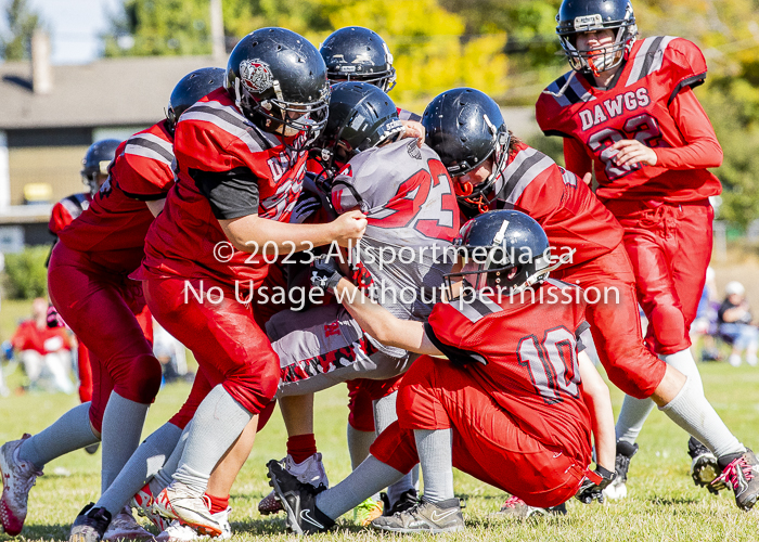 Westshore warriors Harwood Dawgs  VICFA