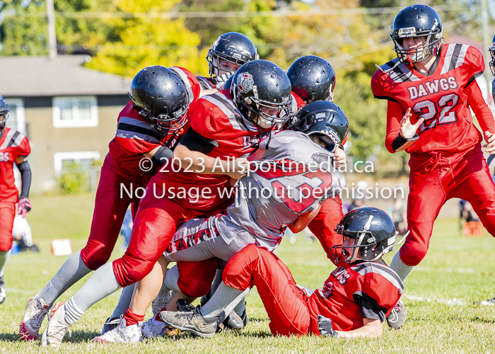 Westshore warriors Harwood Dawgs  VICFA