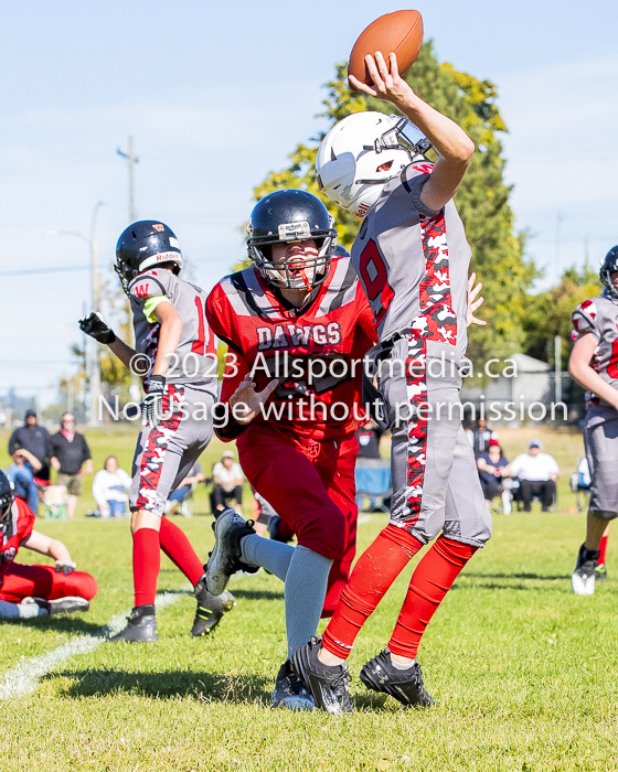 Westshore warriors Harwood Dawgs  VICFA