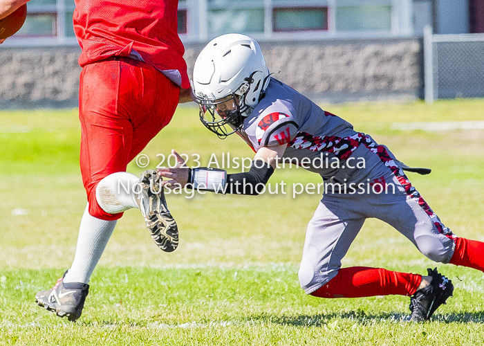 Westshore warriors Harwood Dawgs  VICFA