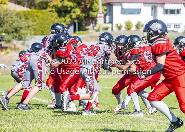 Westshore warriors Harwood Dawgs  VICFA