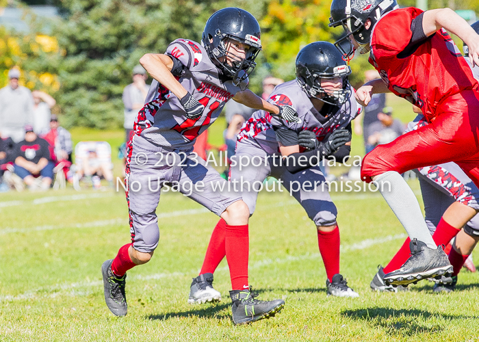 Westshore warriors Harwood Dawgs  VICFA