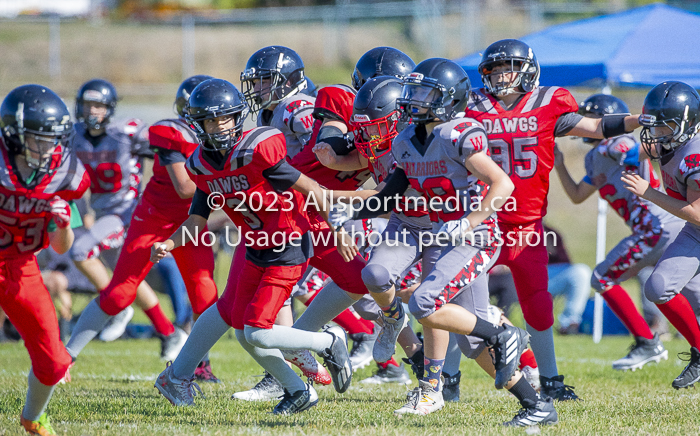 Westshore warriors Harwood Dawgs  VICFA