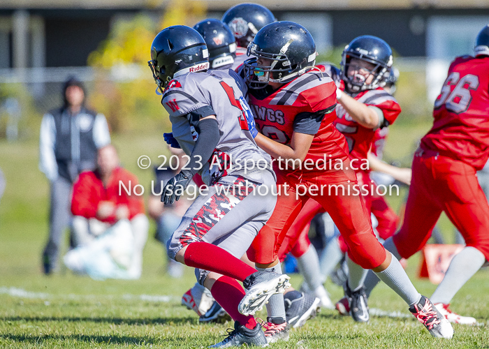 Westshore warriors Harwood Dawgs  VICFA