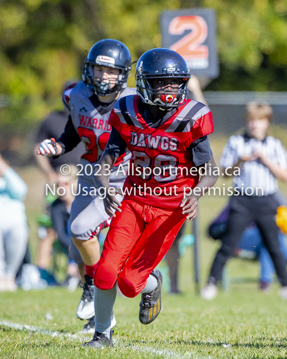 Westshore warriors Harwood Dawgs  VICFA