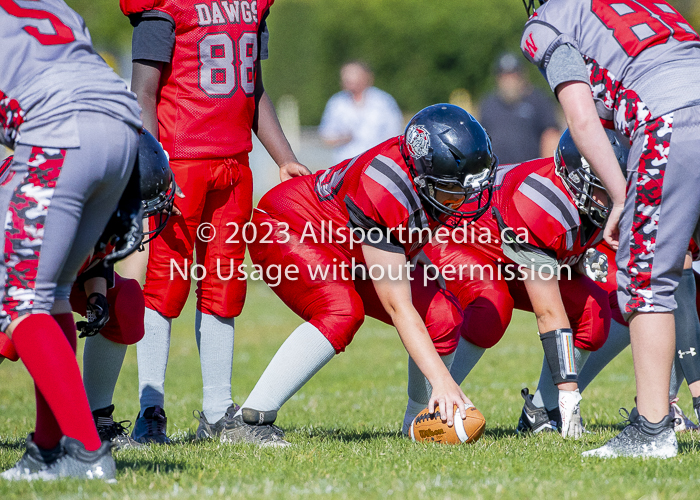 Westshore warriors Harwood Dawgs  VICFA