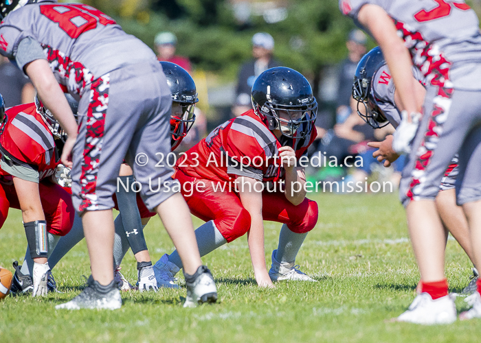 Westshore warriors Harwood Dawgs  VICFA