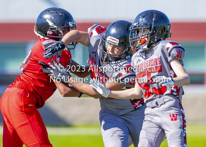 Westshore warriors Harwood Dawgs  VICFA