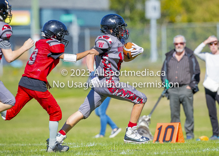 Westshore warriors Harwood Dawgs  VICFA