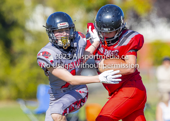 Westshore warriors Harwood Dawgs  VICFA