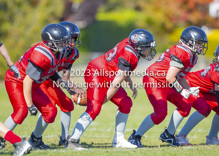 Westshore warriors Harwood Dawgs  VICFA