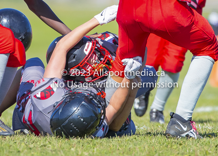 Westshore warriors Harwood Dawgs  VICFA