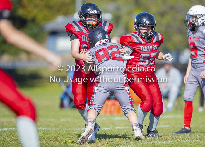 Westshore warriors Harwood Dawgs  VICFA