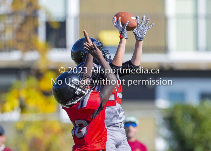 Westshore warriors Harwood Dawgs  VICFA