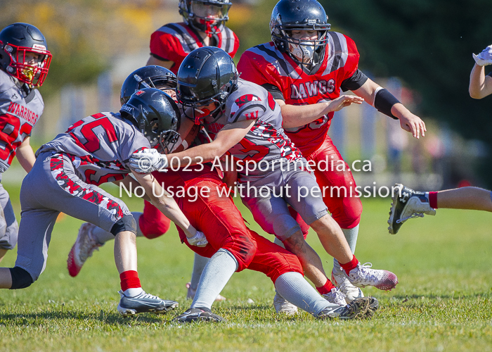 Westshore warriors Harwood Dawgs  VICFA