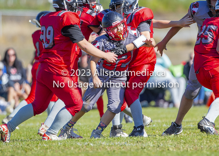 Westshore warriors Harwood Dawgs  VICFA