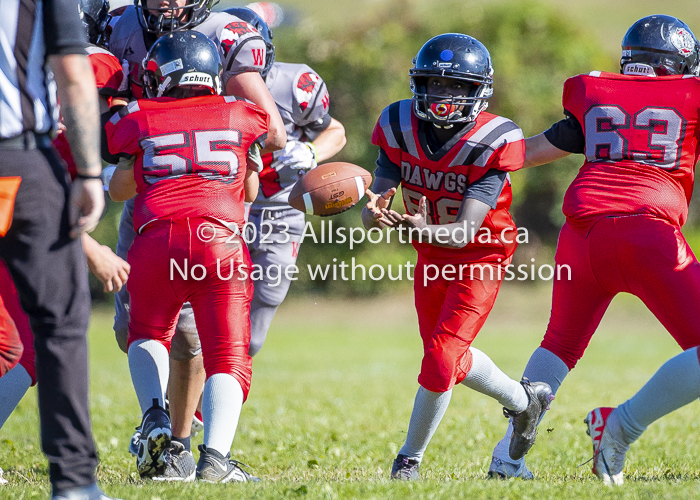 Westshore warriors Harwood Dawgs  VICFA