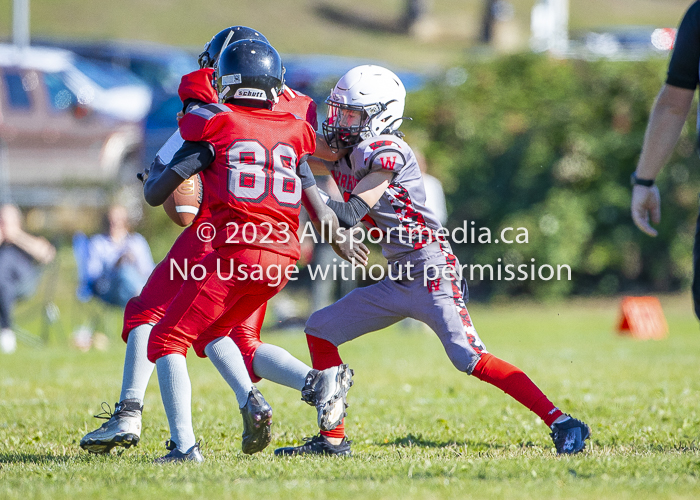 Westshore warriors Harwood Dawgs  VICFA