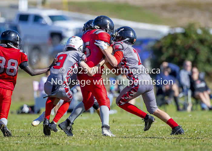 Westshore warriors Harwood Dawgs  VICFA