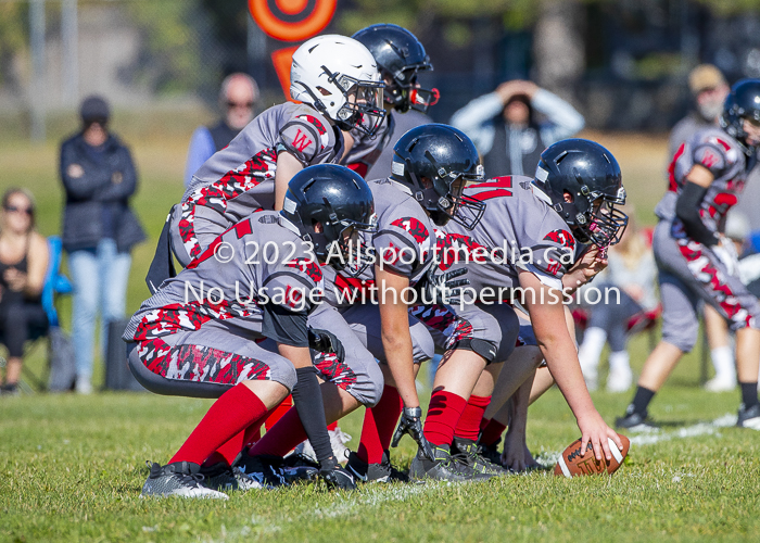 Westshore warriors Harwood Dawgs  VICFA