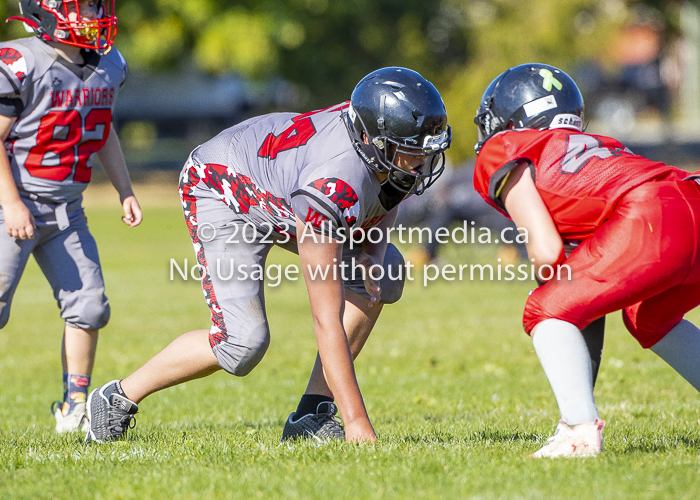 Westshore warriors Harwood Dawgs  VICFA