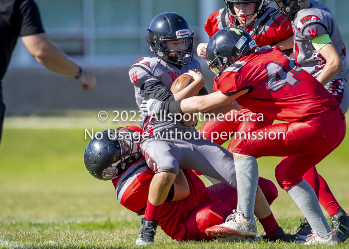 Westshore warriors Harwood Dawgs  VICFA