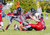 Westshore-warriors-Harwood-Dawgs-VICFA