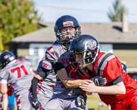 Westshore-warriors-Harwood-Dawgs-VICFA