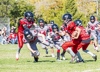 Westshore-warriors-Harwood-Dawgs-VICFA