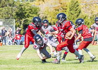 Westshore-warriors-Harwood-Dawgs-VICFA