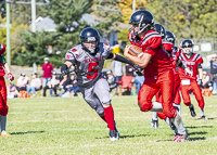 Westshore-warriors-Harwood-Dawgs-VICFA