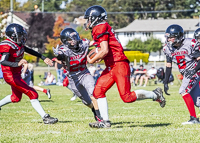 Westshore-warriors-Harwood-Dawgs-VICFA