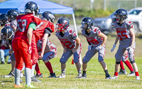 Westshore-warriors-Harwood-Dawgs-VICFA