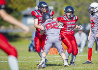 Westshore-warriors-Harwood-Dawgs-VICFA