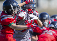 Westshore-warriors-Harwood-Dawgs-VICFA