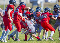 Westshore-warriors-Harwood-Dawgs-VICFA