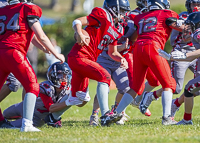 Westshore-warriors-Harwood-Dawgs-VICFA