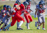 Westshore-warriors-Harwood-Dawgs-VICFA