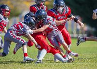 Westshore-warriors-Harwood-Dawgs-VICFA